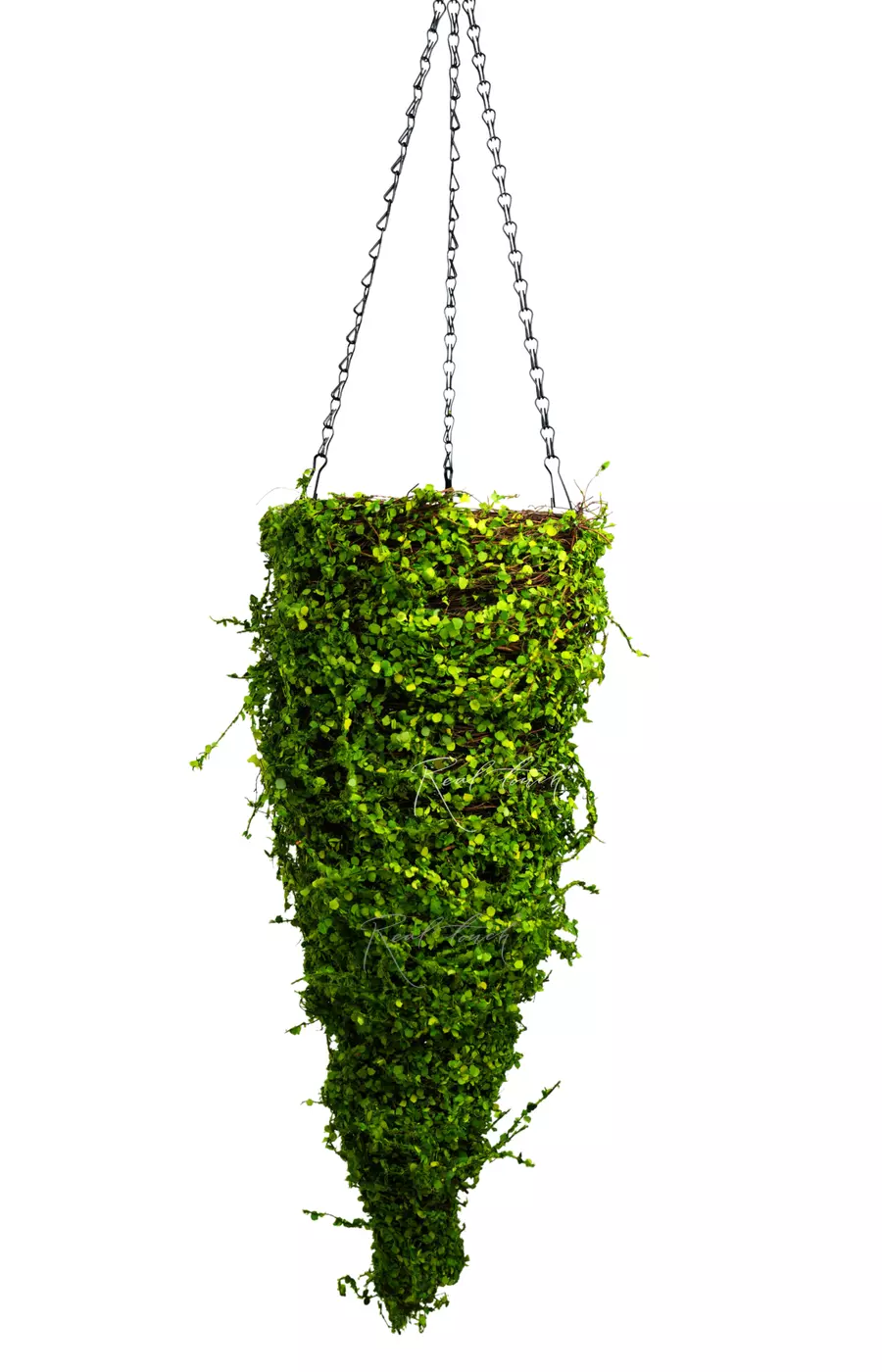 Подвесное кашпо Конус (мюленбекия) 60см - Зеленый