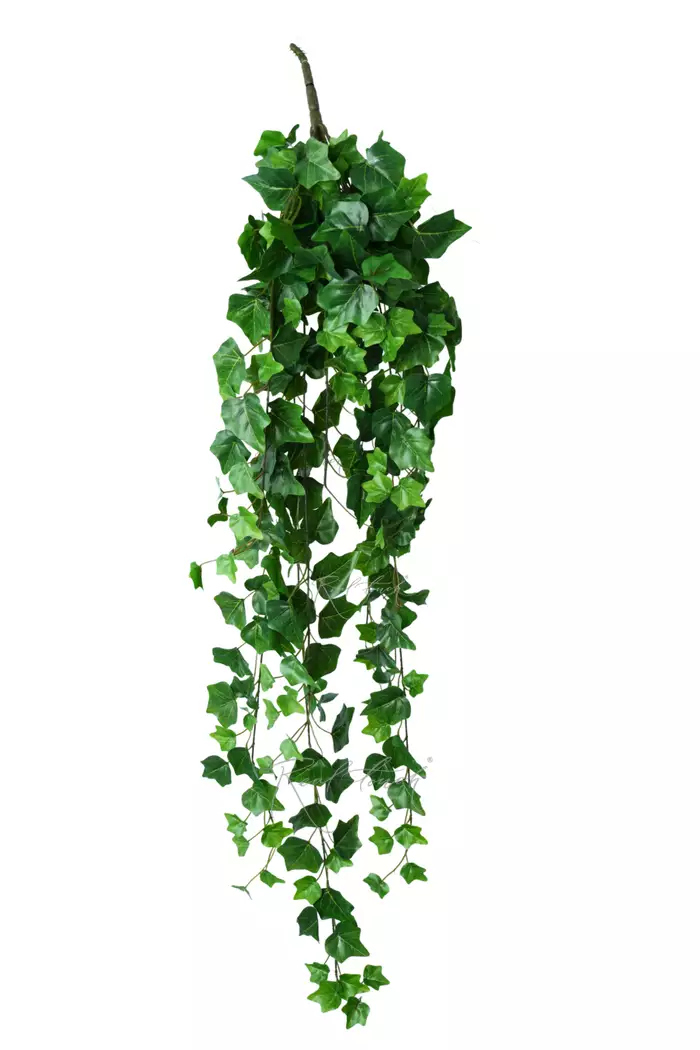 Плющ-куст 110 см - Зеленый