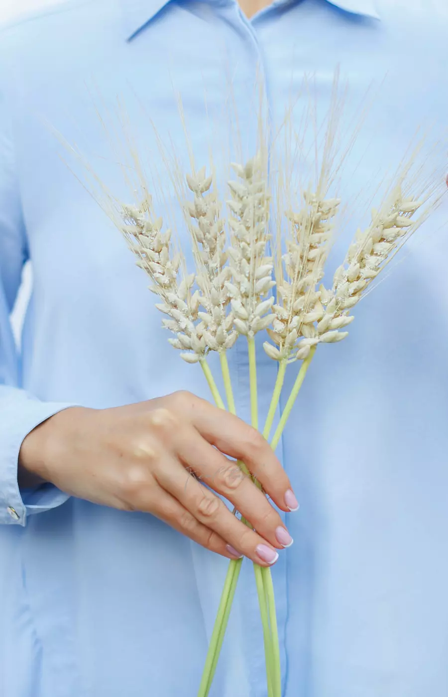 Пучок колосьев пшеницы из 5 штук - Молочный Пучок колосьев пшеницы из 5 штук - Молочный