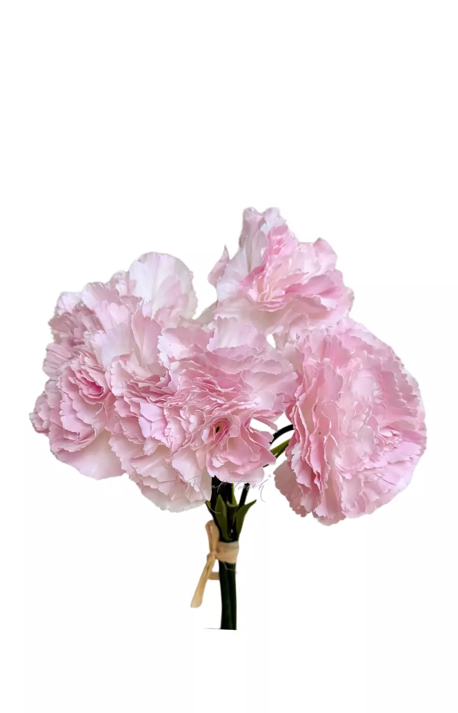 Букет Гвоздик из 5 шт - Светло-фиолетовый