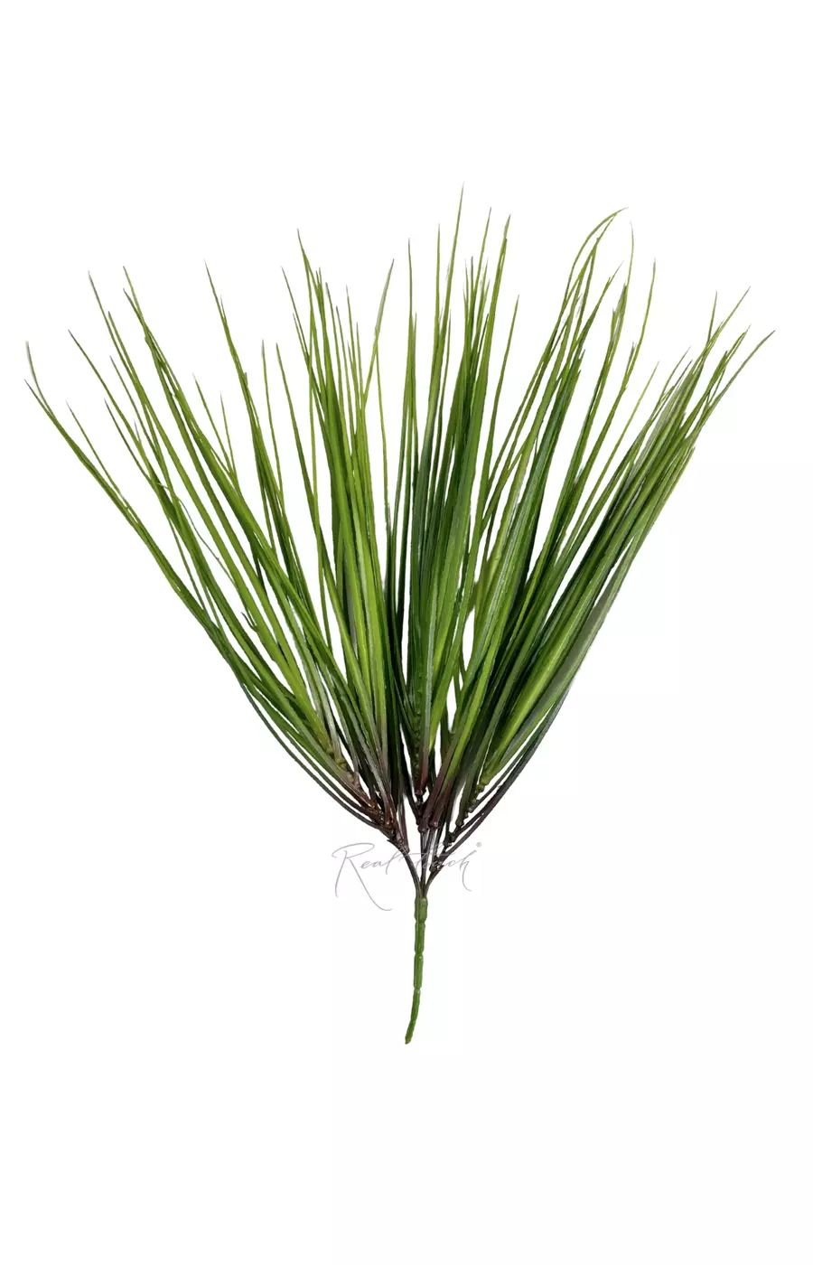 Пучок травы большой - Зеленый