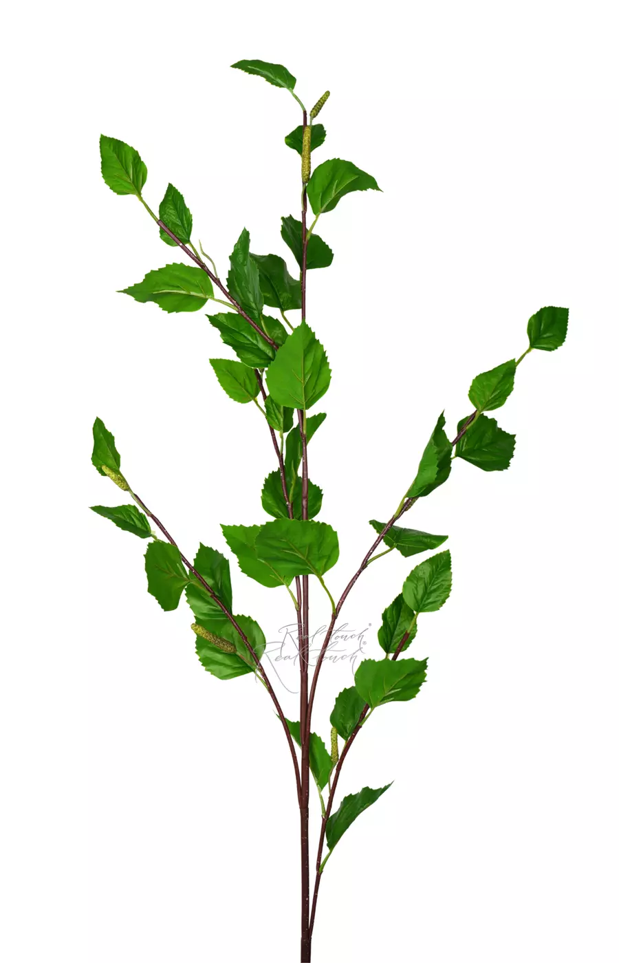 Ветка березы Premium с сережками - Зеленый Ветка березы Premium с сережками - Зеленый