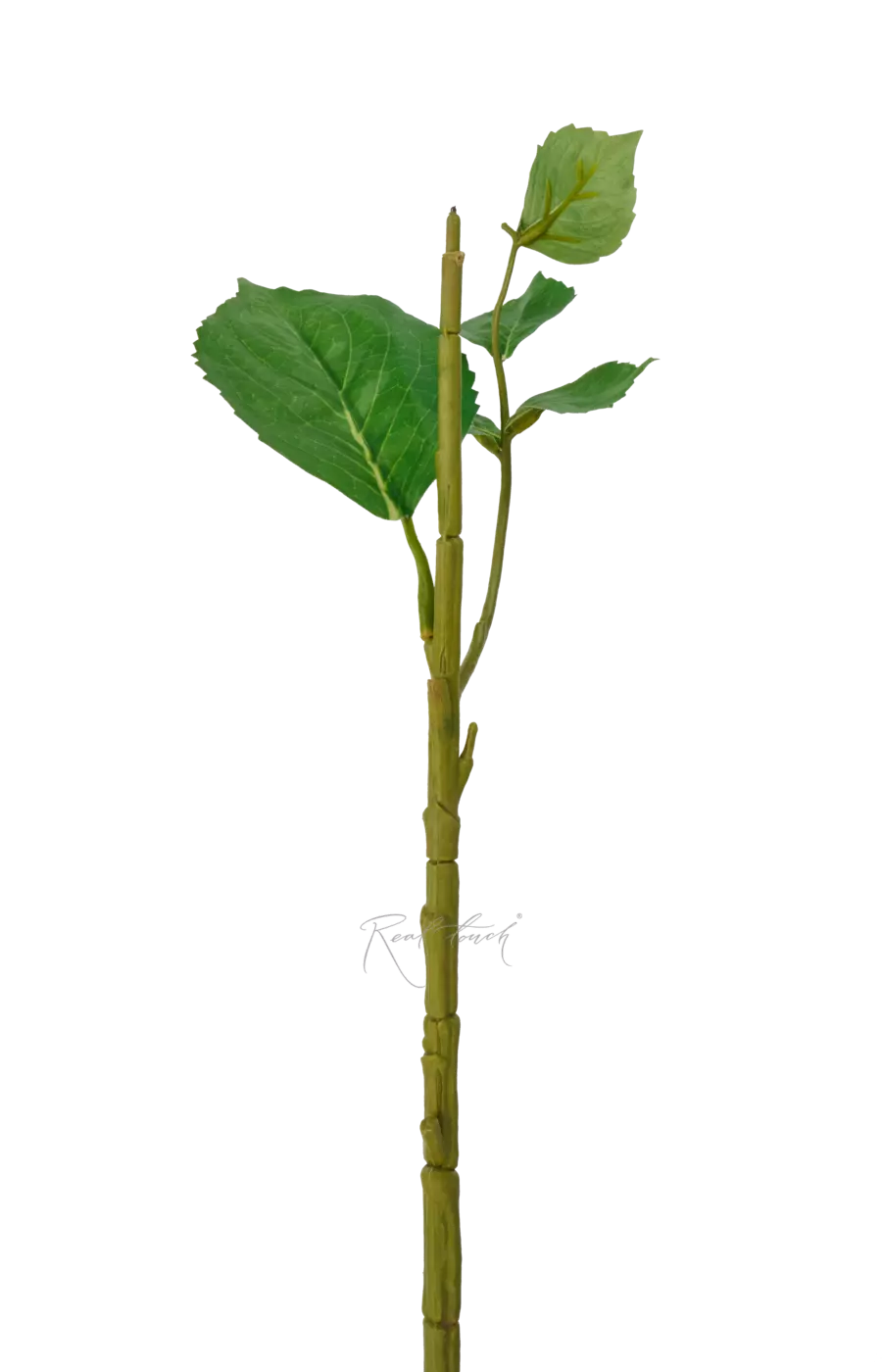 Стебель для гортензии малый - Зеленый