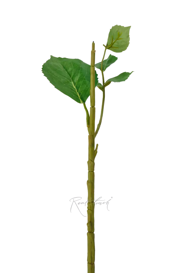 Стебель для гортензии малый - Зеленый Стебель для гортензии малый - Зеленый