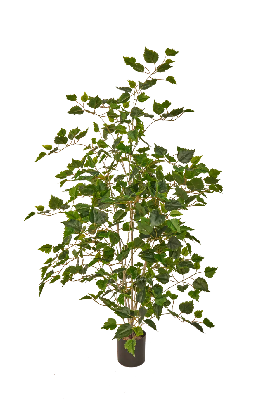 Береза 120см  - Зеленый