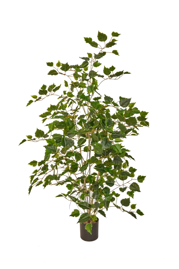 Береза 120см  - Зеленый