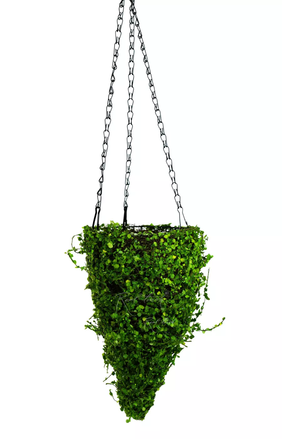 Подвесное кашпо Конус (мюленбекия)  30см - Зеленый