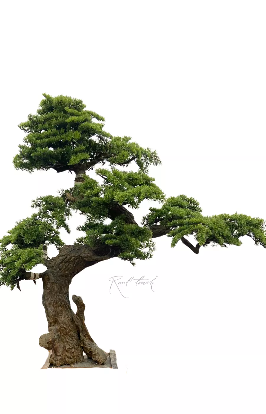 Бонсай в. 250 см/ ш. 260 см - Зеленый