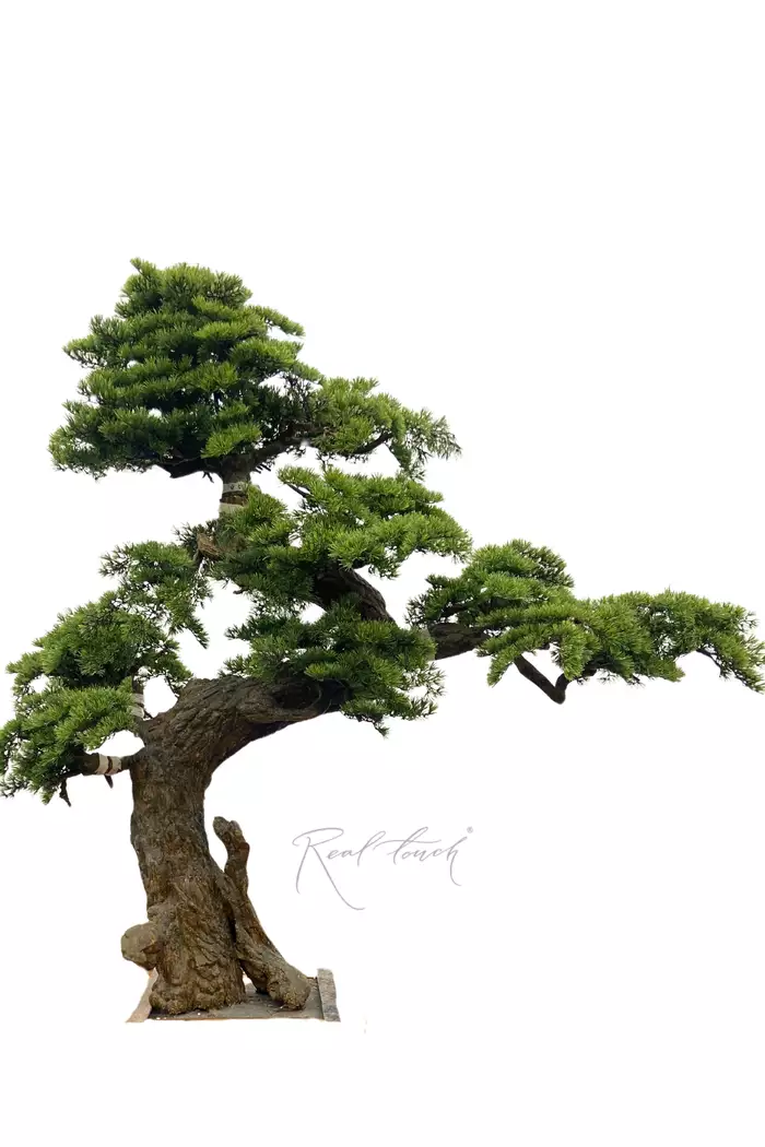 Бонсай в. 250 см/ ш. 260 см - Зеленый Бонсай в. 250 см/ ш. 260 см - Зеленый