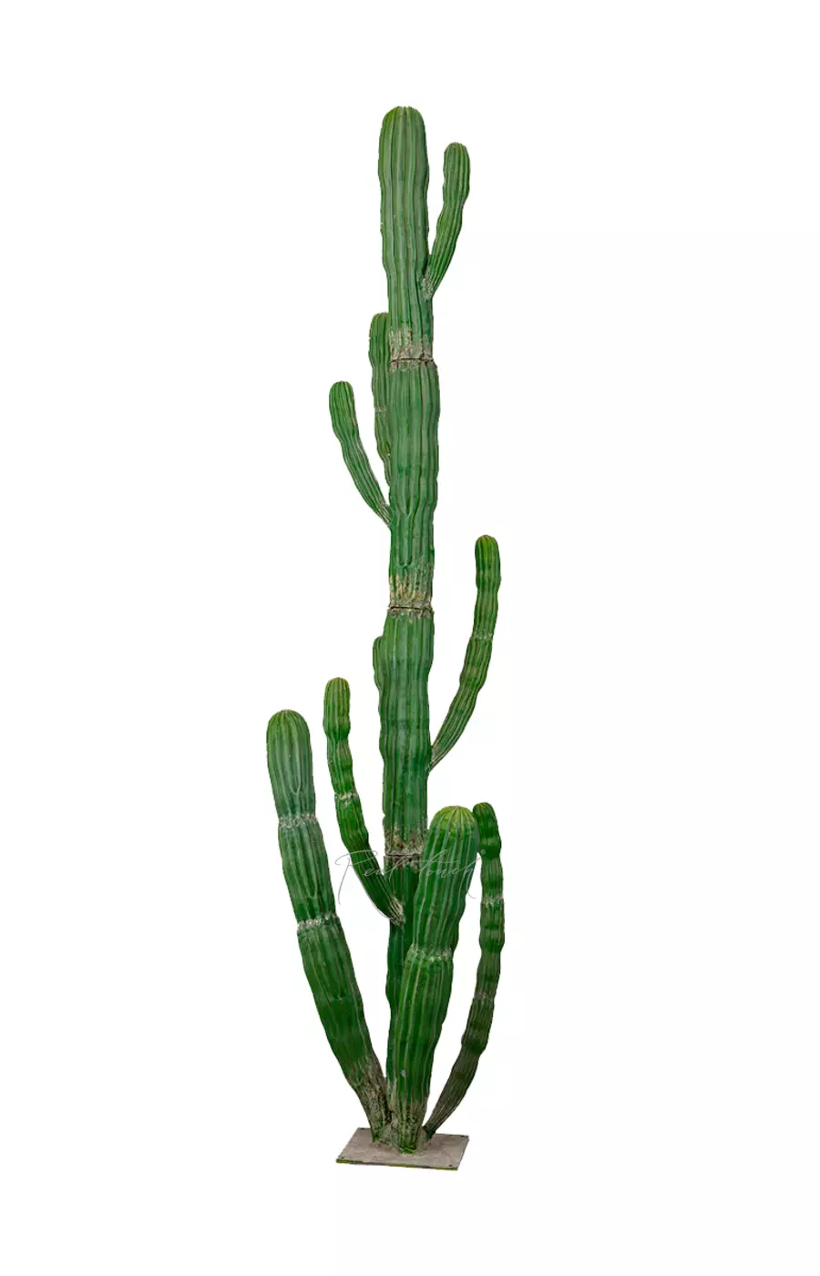 Кактус пустынный гигант 310см - Зеленый Кактус пустынный гигант 310см - Зеленый