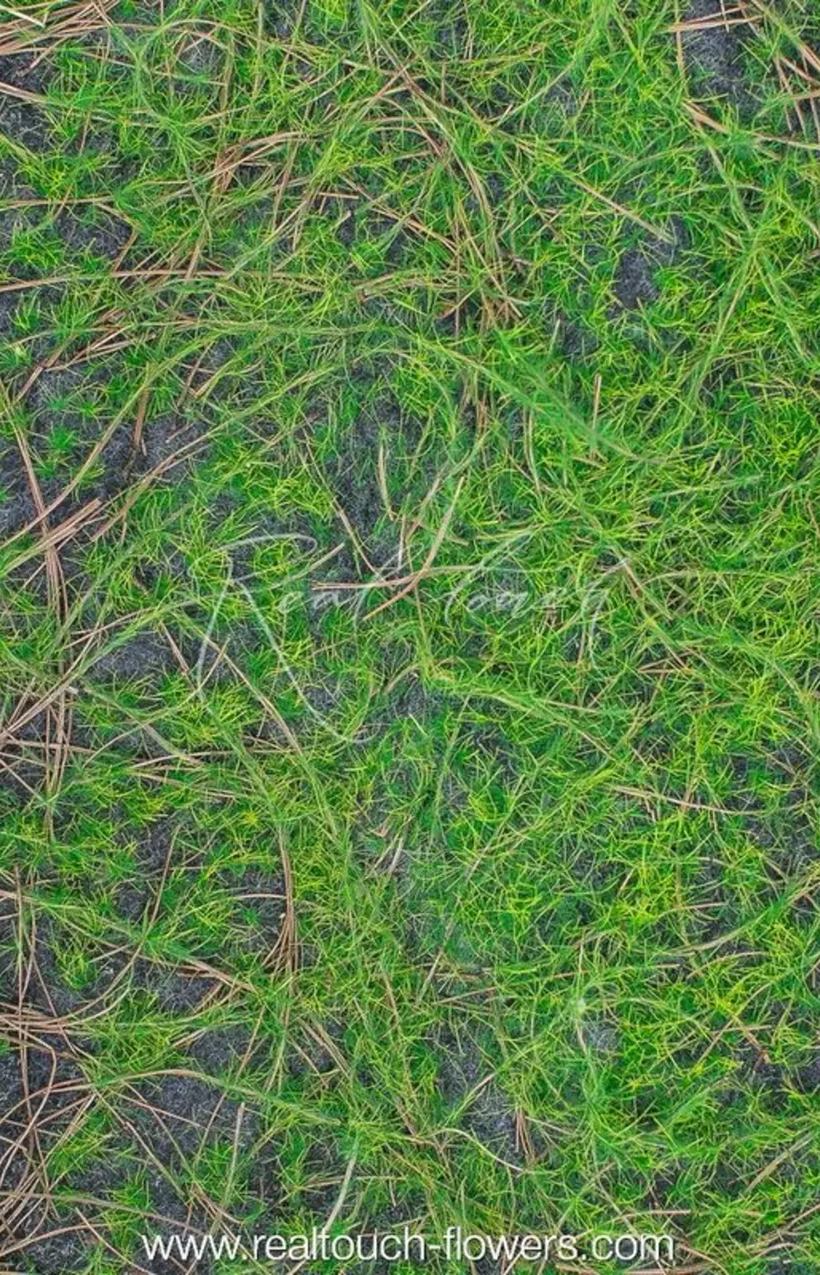 Коврик мха на войлоке 026, 1*1 м (с веточками) - Зеленый