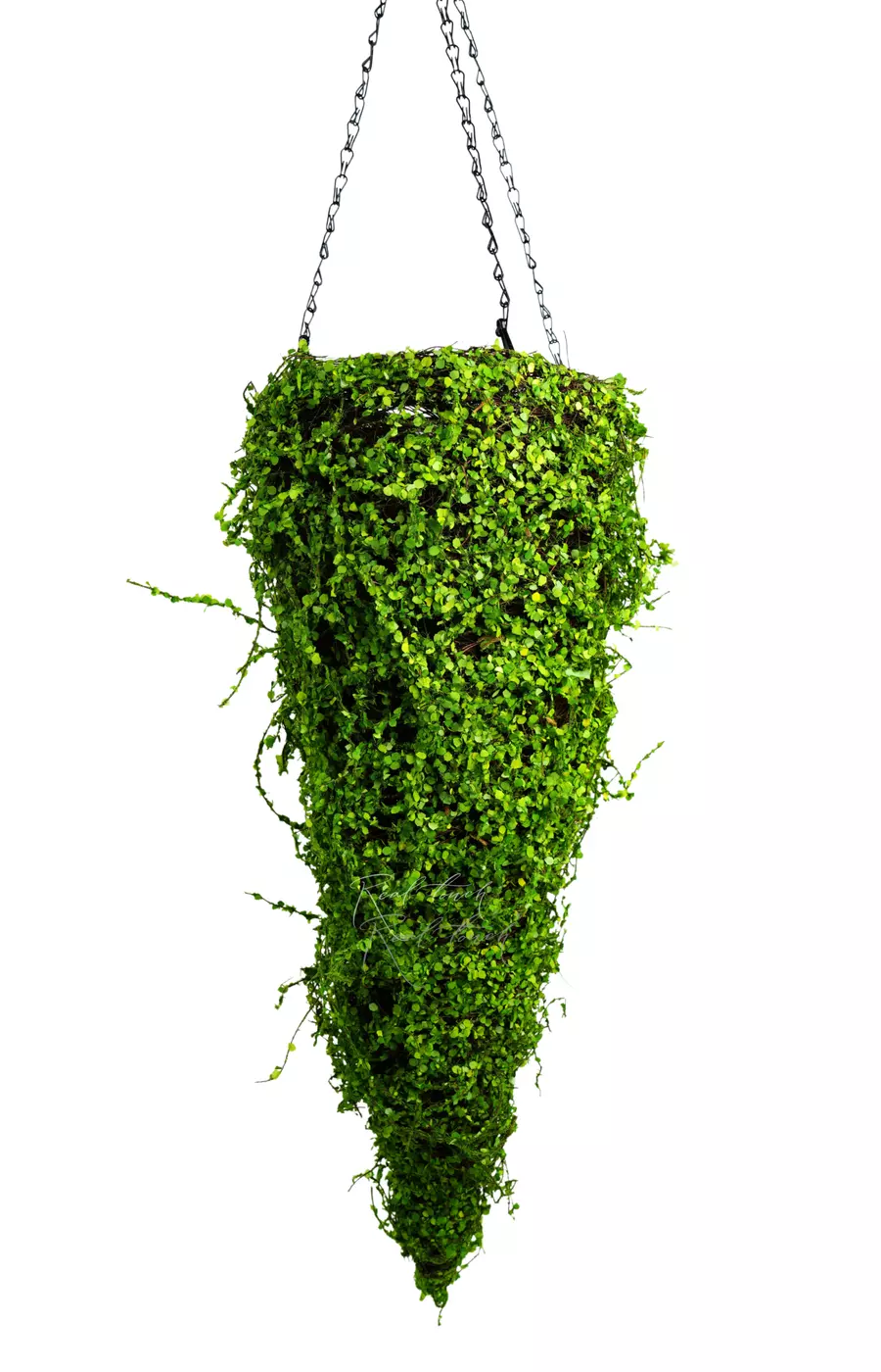 Подвесное кашпо Конус (мюленбекия) 73см - Зеленый