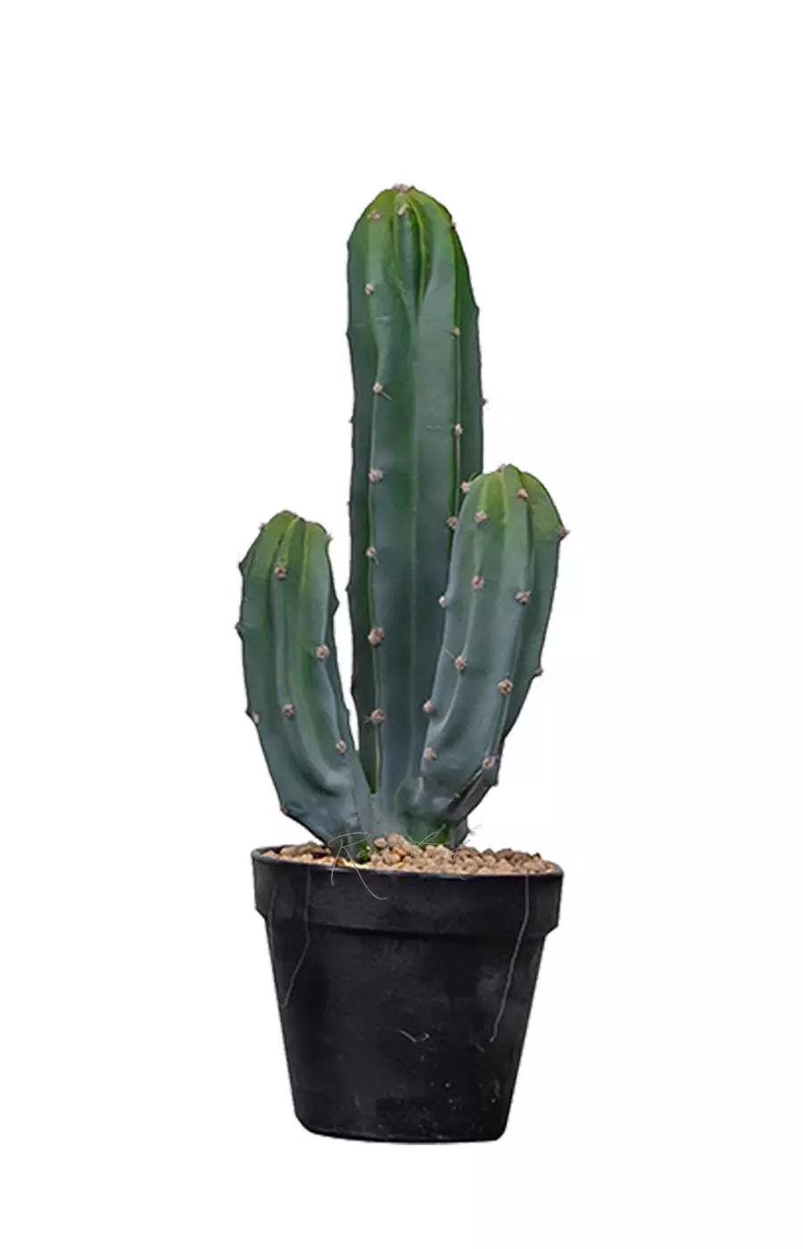 Кактус Цереус Мексиканский 39см - Зеленый