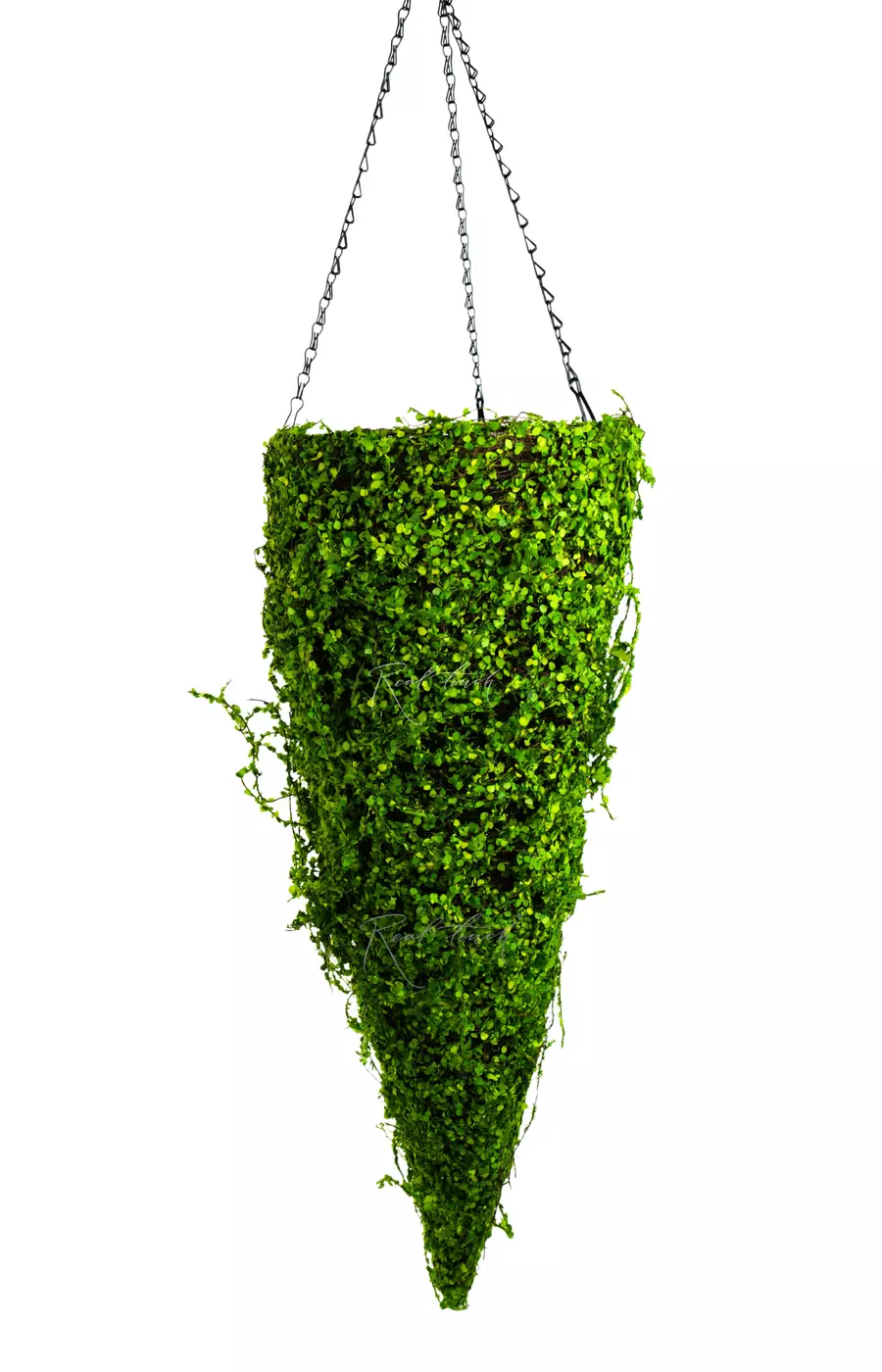 Подвесное кашпо Конус (мюленбекия) 80см - Зеленый
