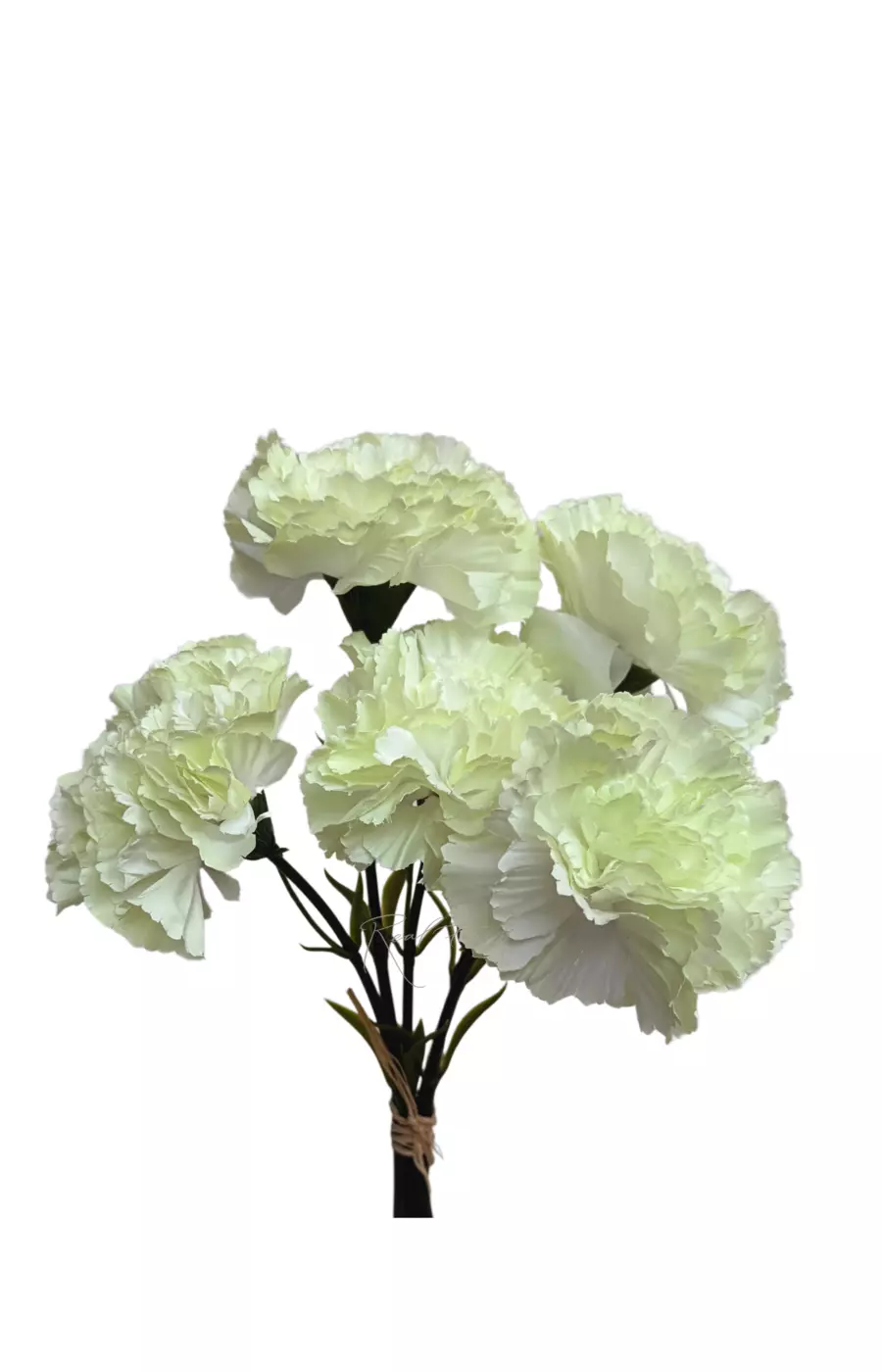 Букет Гвоздик из 5 шт - Светло-зеленый