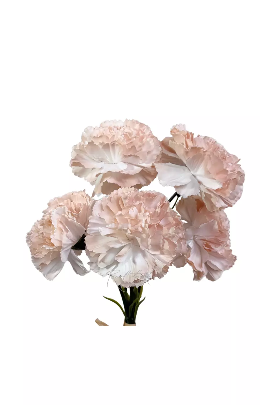 Букет Гвоздик из 5 шт - Кофейный