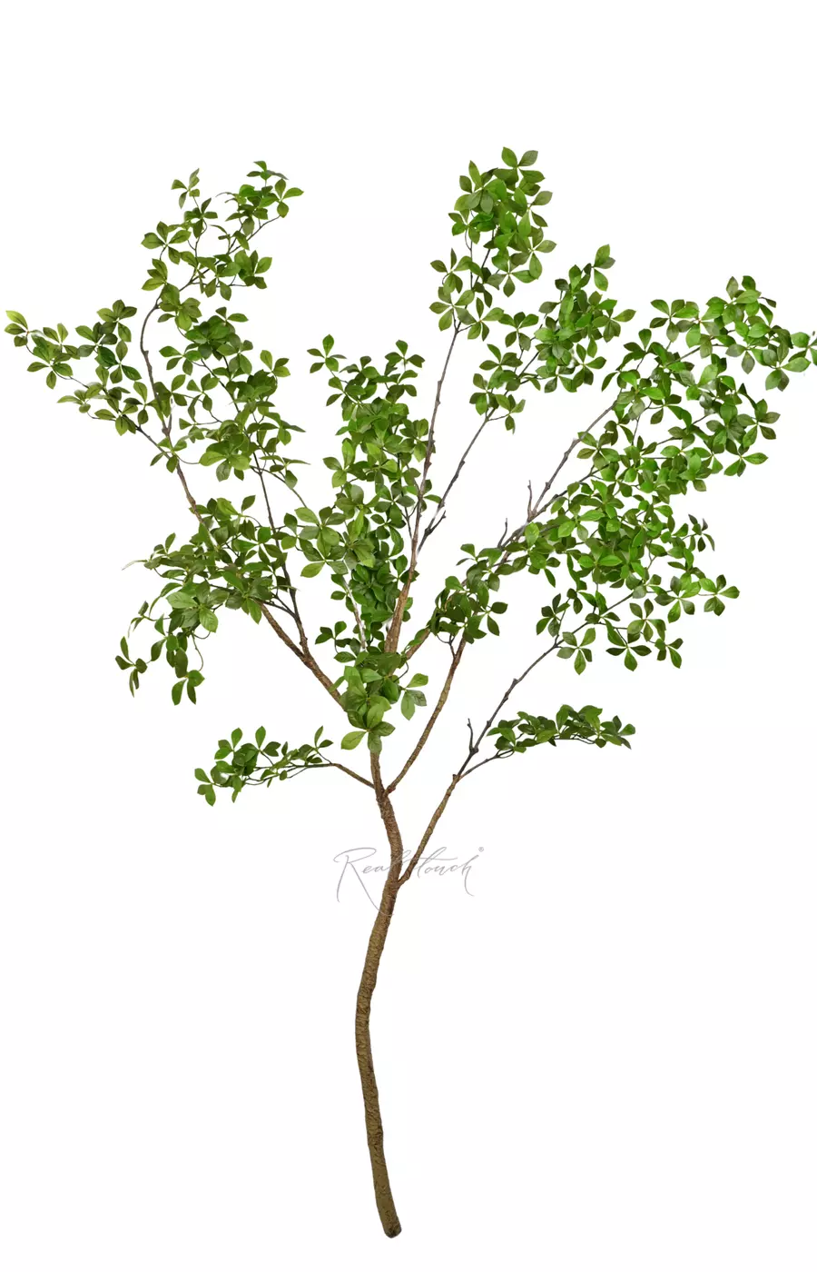 Ветвь баньяна (добавлены листья) 220см без кашпо - Зеленый