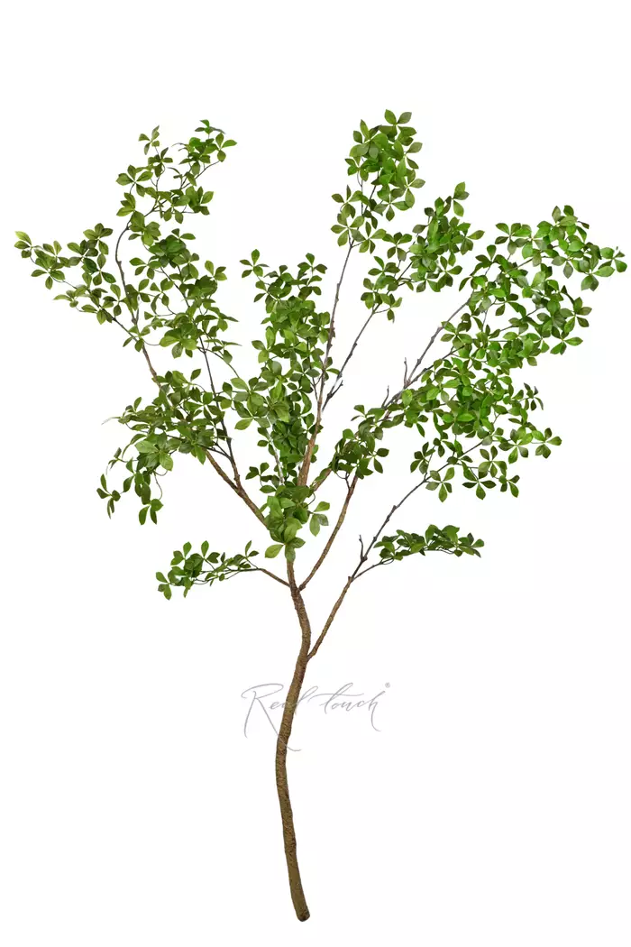 Ветвь баньяна (добавлены листья) 220см без кашпо - Зеленый