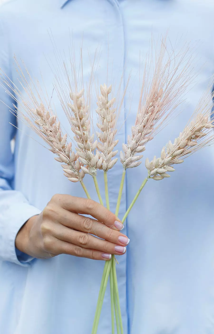 Пучок колосьев пшеницы из 5 штук - Светло-персиковый Пучок колосьев пшеницы из 5 штук - Светло-персиковый