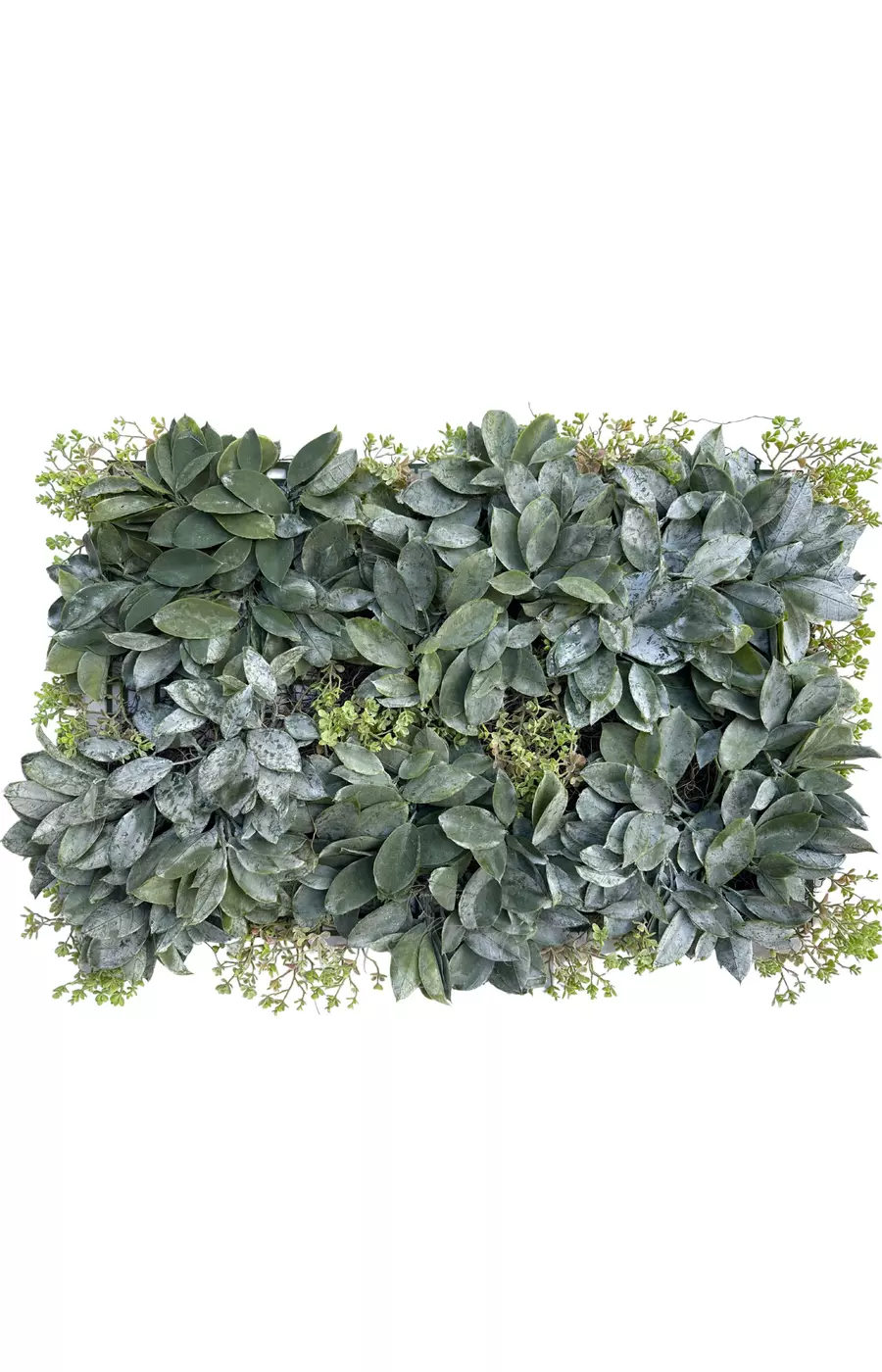 Панно из листьев 40*60см - Пыльно-зеленый