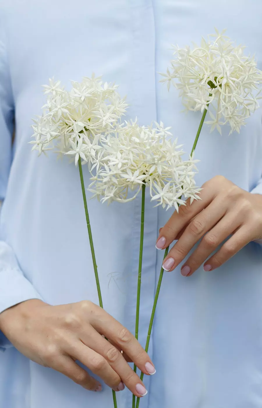 Аллиум с 3 соцветиями - Белый