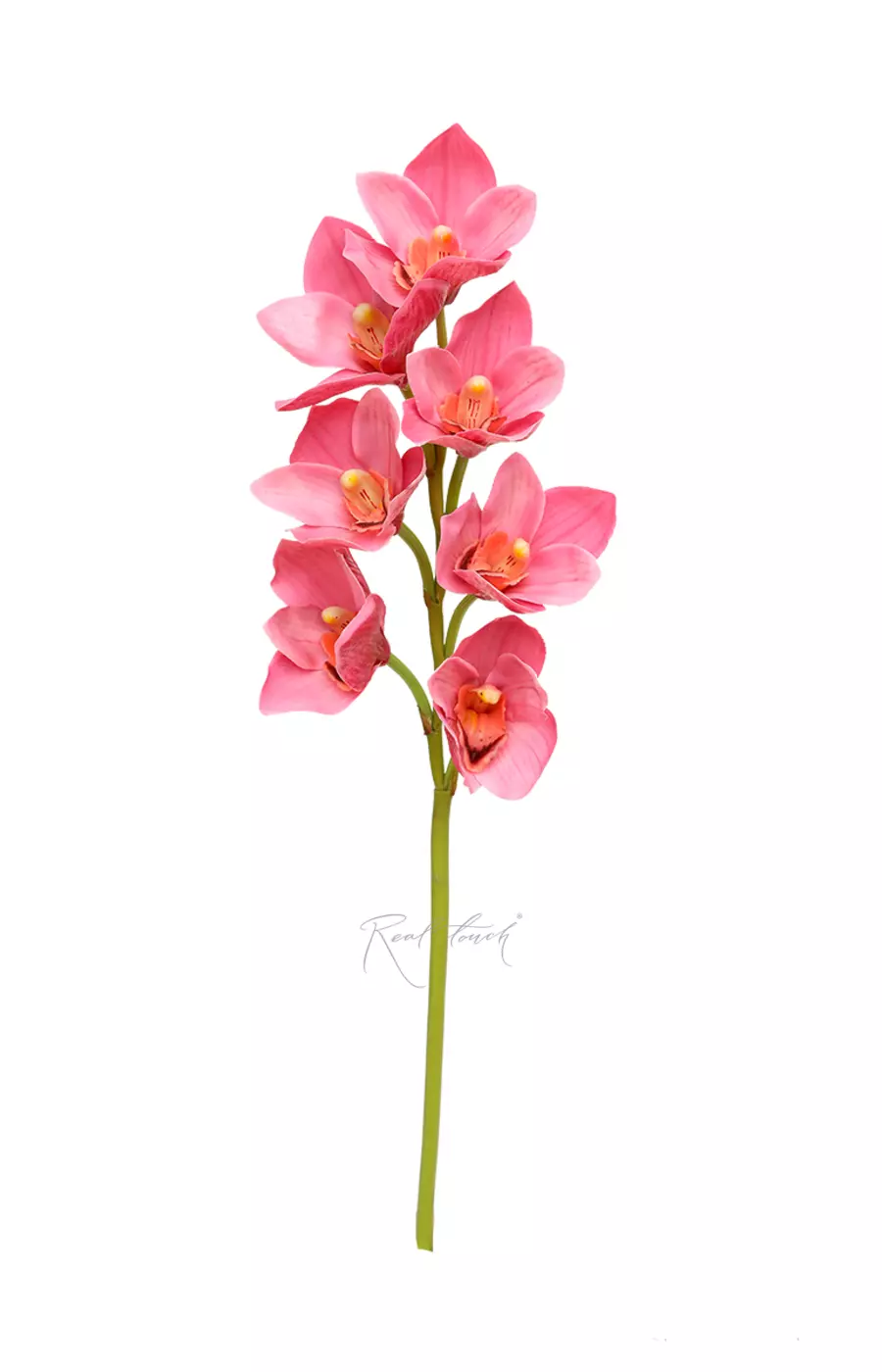 Цимбидиум гибридный 7 соцв - Светло-фиолетовый