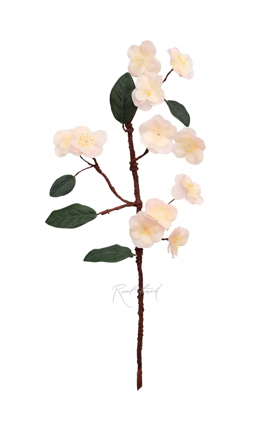 Ветка Сакуры - Светло-розовый Ветка Сакуры - Светло-розовый