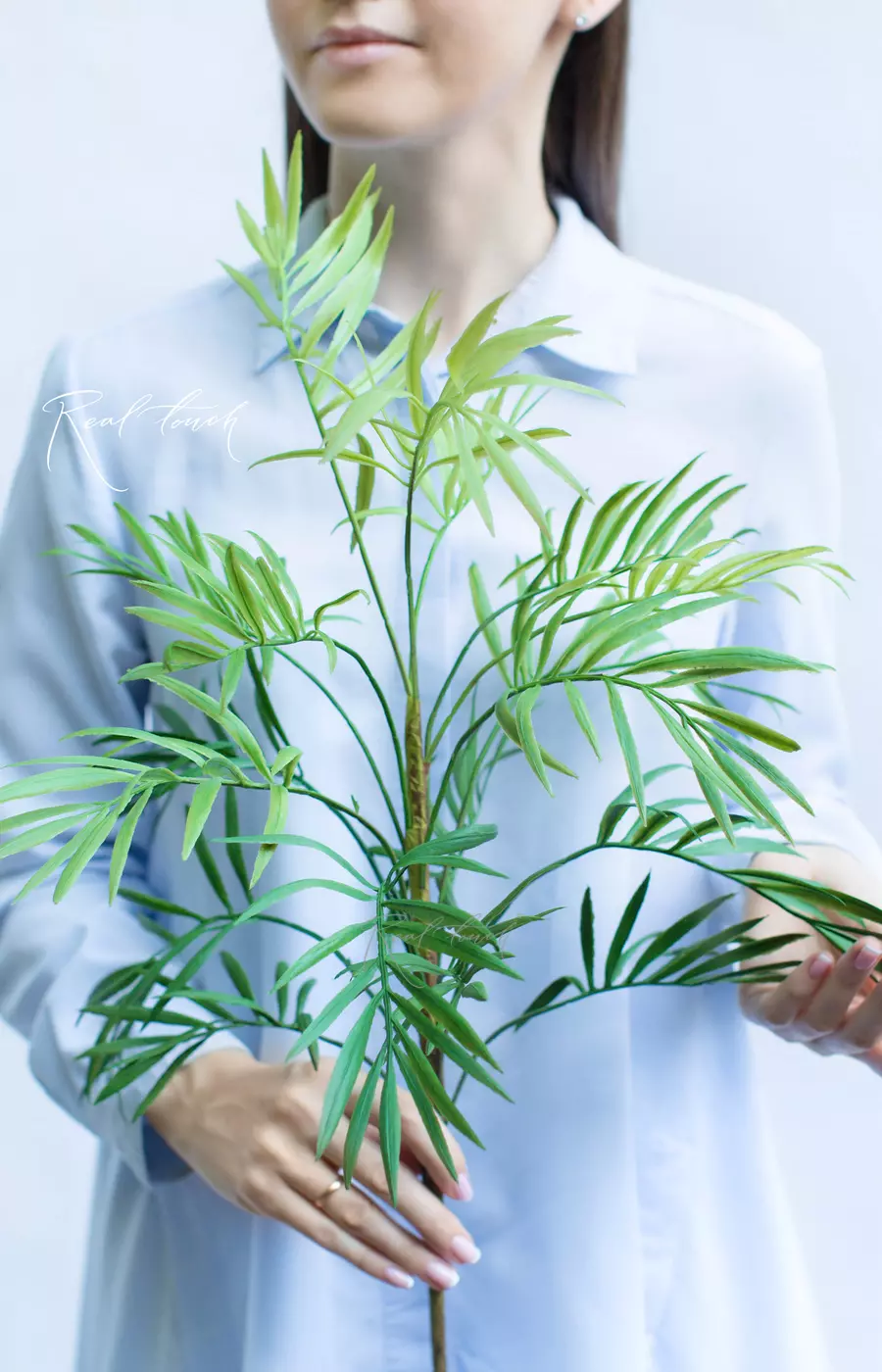 Ветка бамбуковой пальмы высокая - Зеленый