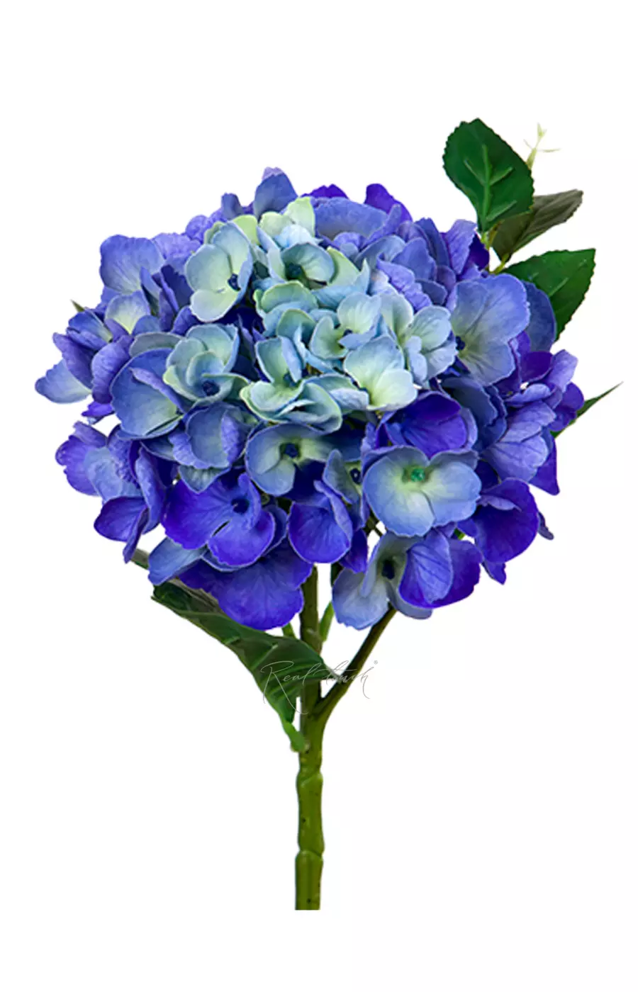 Гортензия крупнолистная small на стебле - Синий