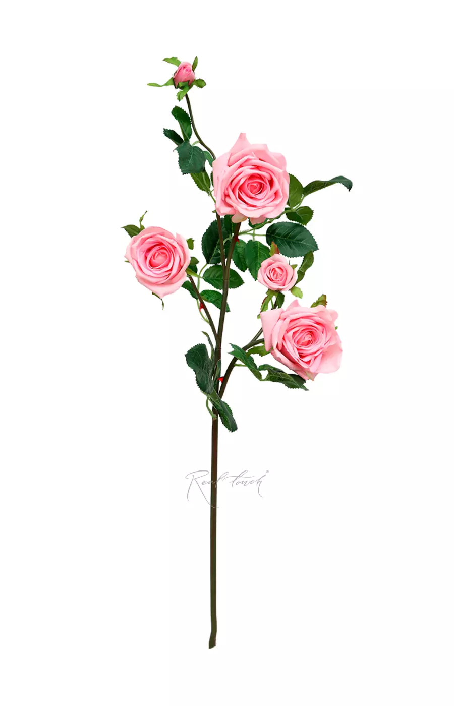 Роза Открытая 3+2 - Розовый Роза Открытая 3+2 - Розовый