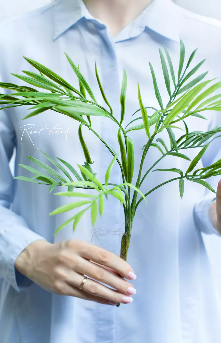 Ветка бамбуковой пальмы малая - Зеленый Ветка бамбуковой пальмы малая - Зеленый