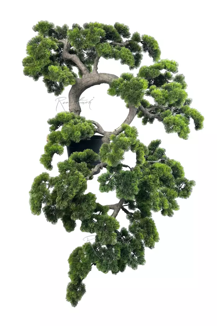 Бонсай каскад с длинной иглой в. 145 см/ ш. 95 см - Зеленый