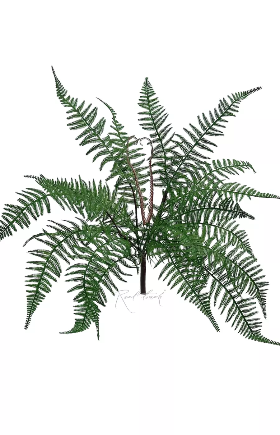 Многорядник - Зеленый