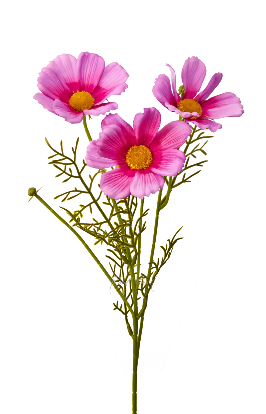 Космея 50 см - Розово-фиолетовый
