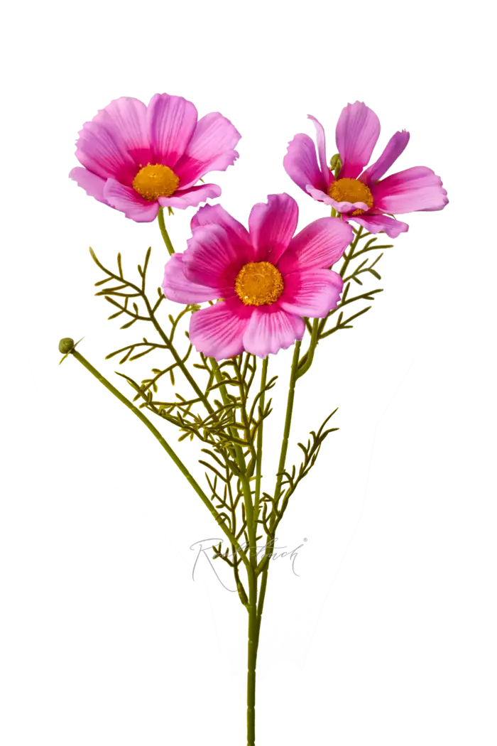 Космея 50 см - Розово-фиолетовый Космея 50 см - Розово-фиолетовый