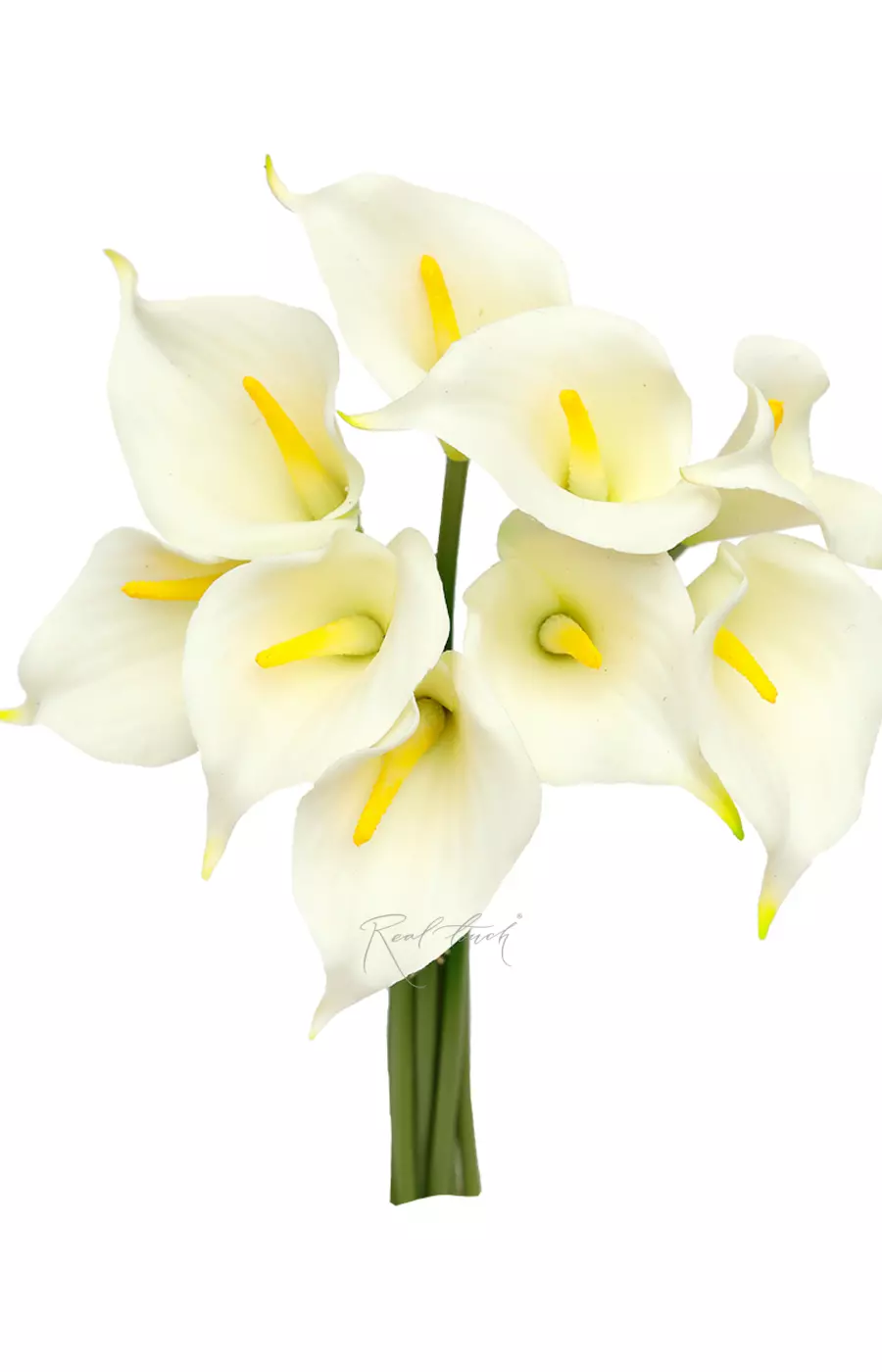 Букет калл 9 штук - Белый