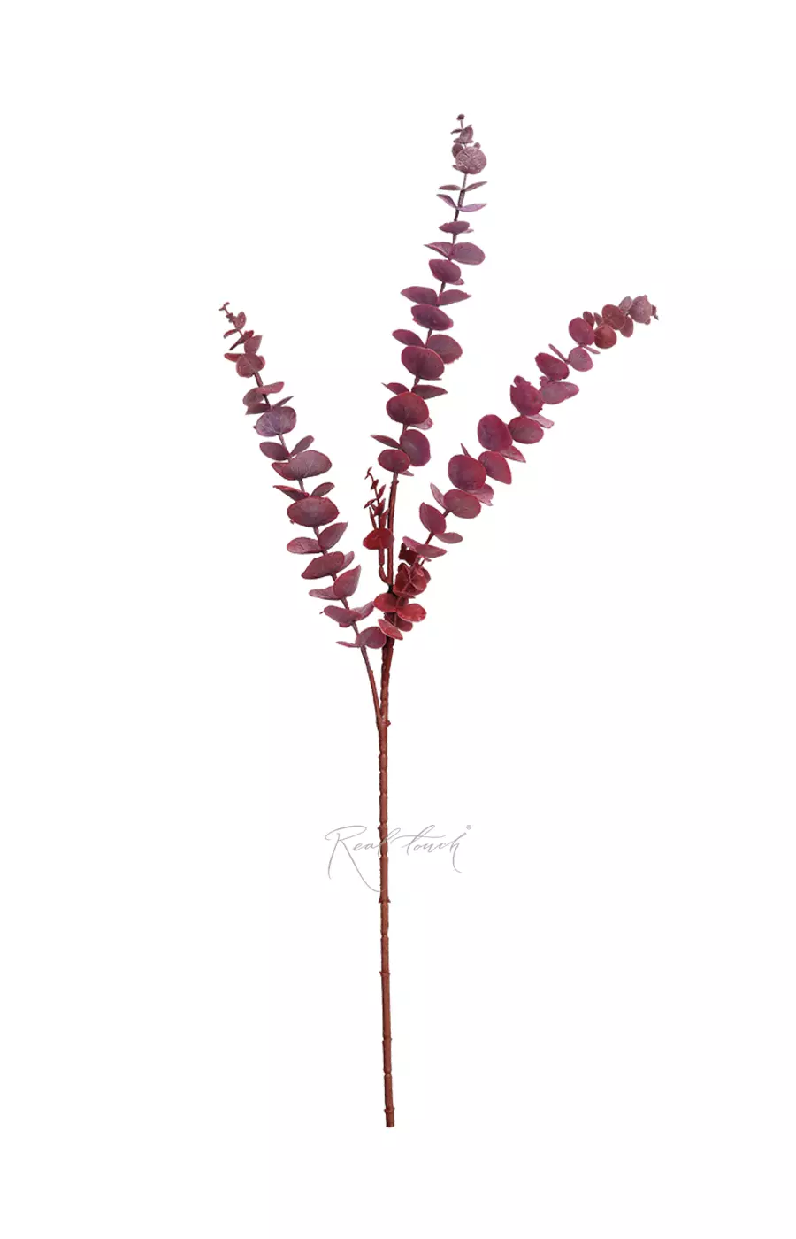 Эвкалипт BABY BLUE ветка - Красный