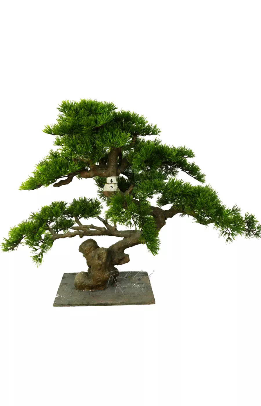 Бонсай в. 75 см/ ш. 85 см - Зеленый