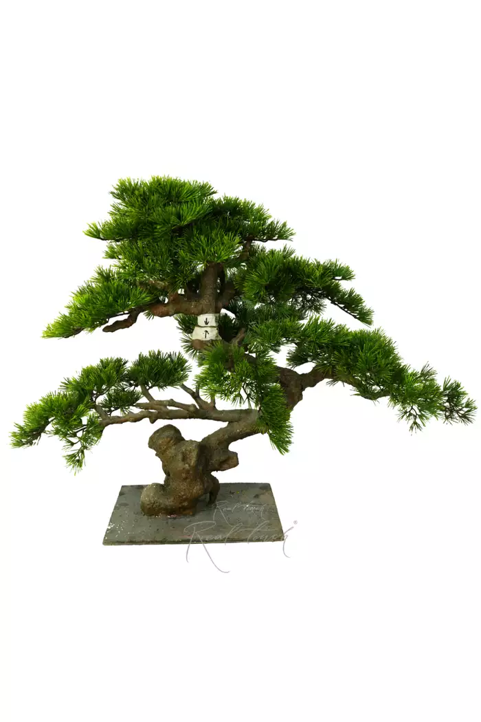 Бонсай в. 75 см/ ш. 85 см - Зеленый
