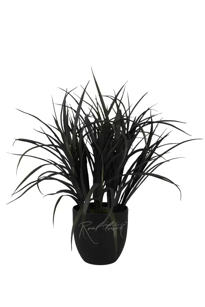 "Черная" трава в кашпо 54см - Осень