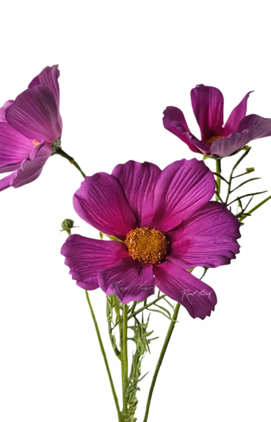 Космея 50 см - Малиновый