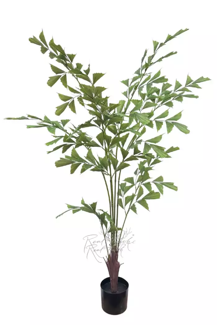 Пальма Кариота Premium 180см - Зеленый