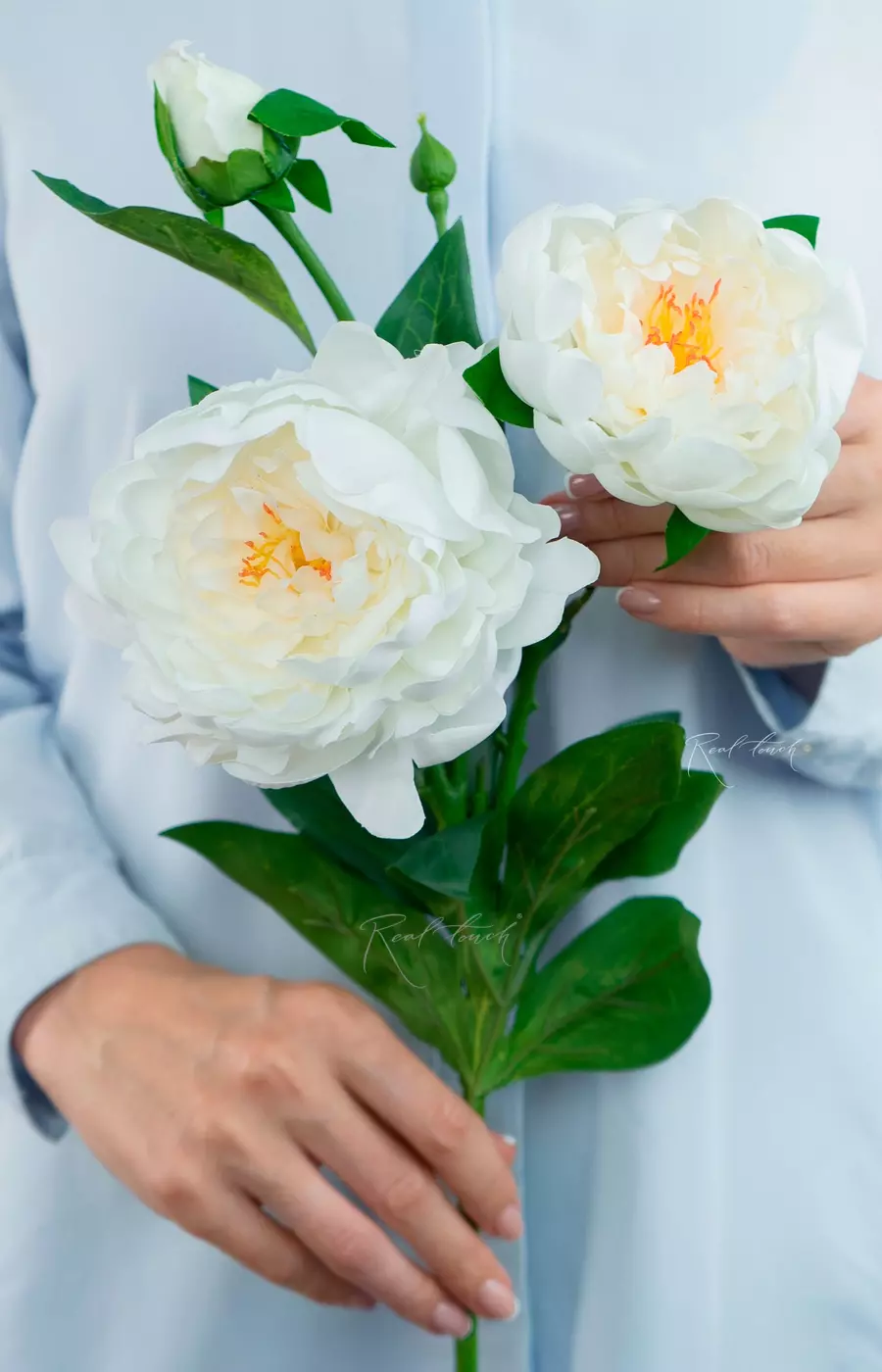 Пион древовидный (2 соцветия) - Белый