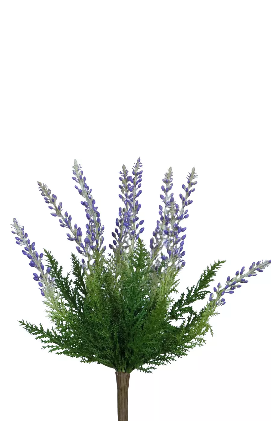 Вереск обыкновенный - Фиолетовый