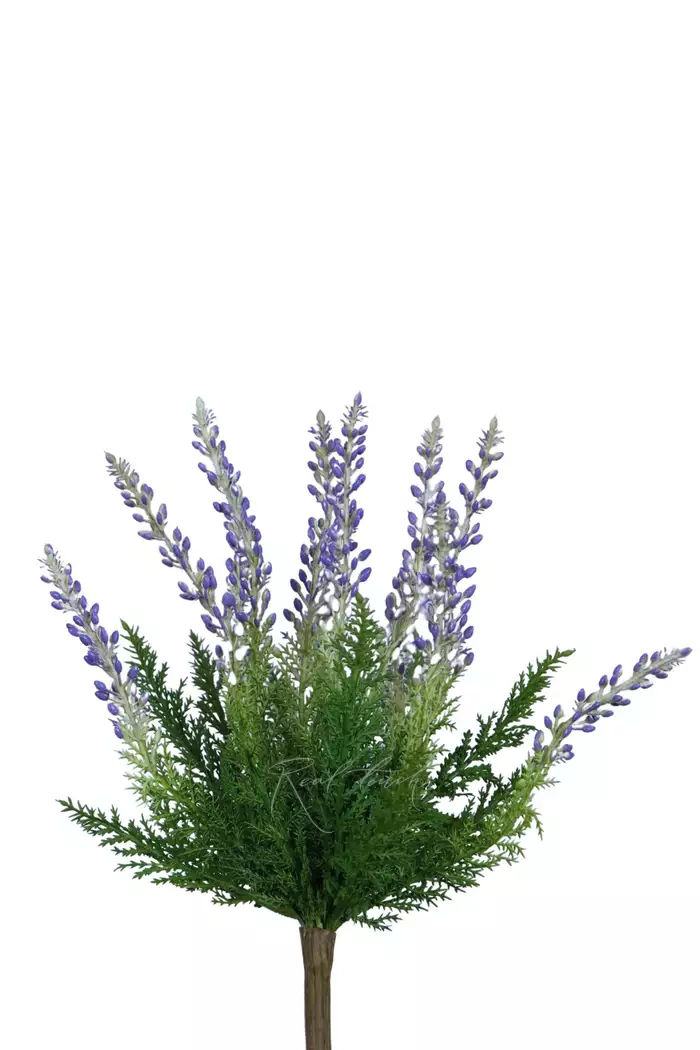 Вереск обыкновенный - Фиолетовый Вереск обыкновенный - Фиолетовый