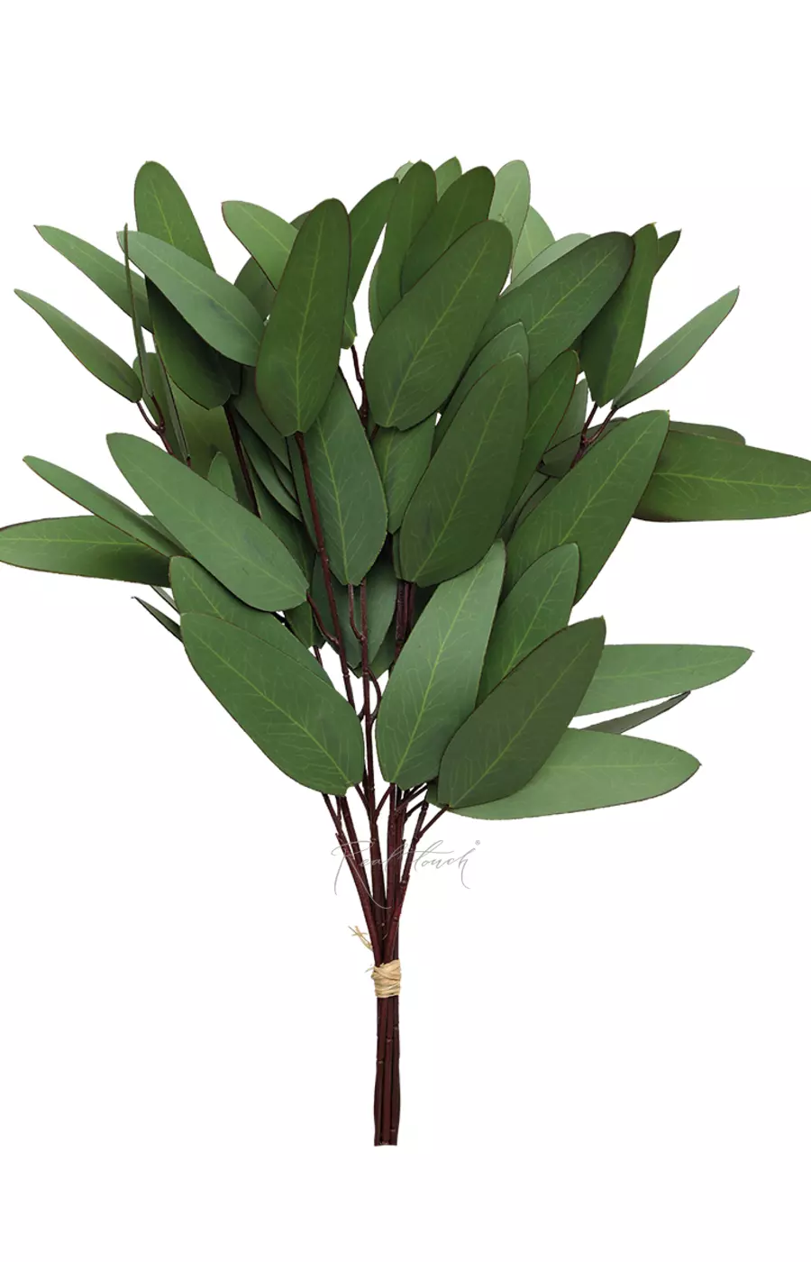 Пучок эвкалипта Популус HQ (8 веточек) - Зеленый Пучок эвкалипта Популус HQ (8 веточек) - Зеленый