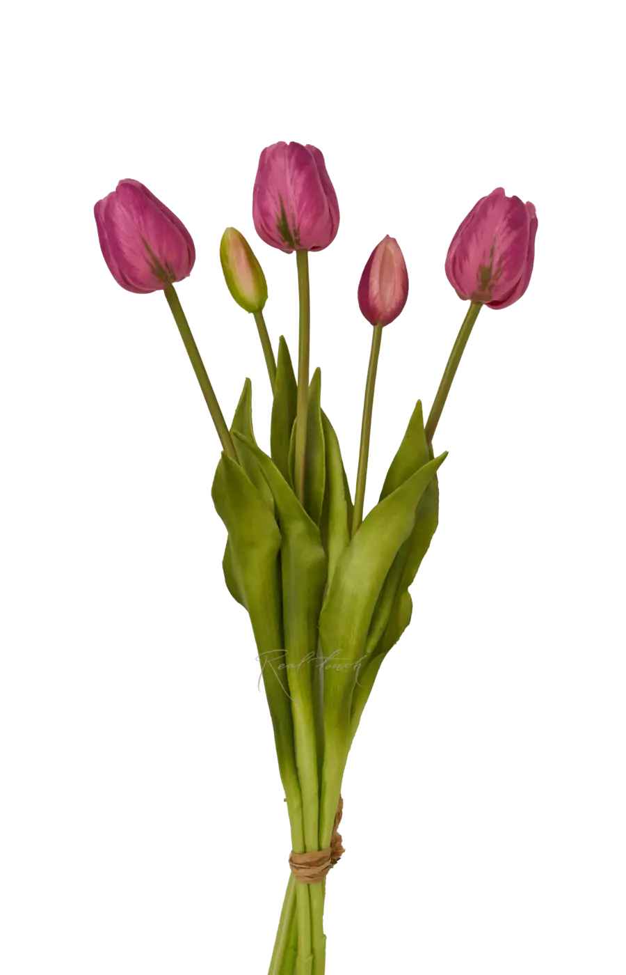 Букет поздних тюльпанов 3+2 - Светло-фиолетовый