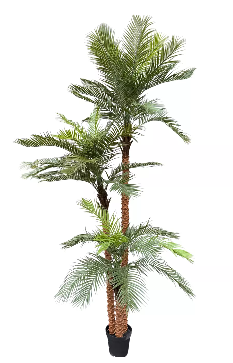 Пальма кокосовая 300см - Зеленый