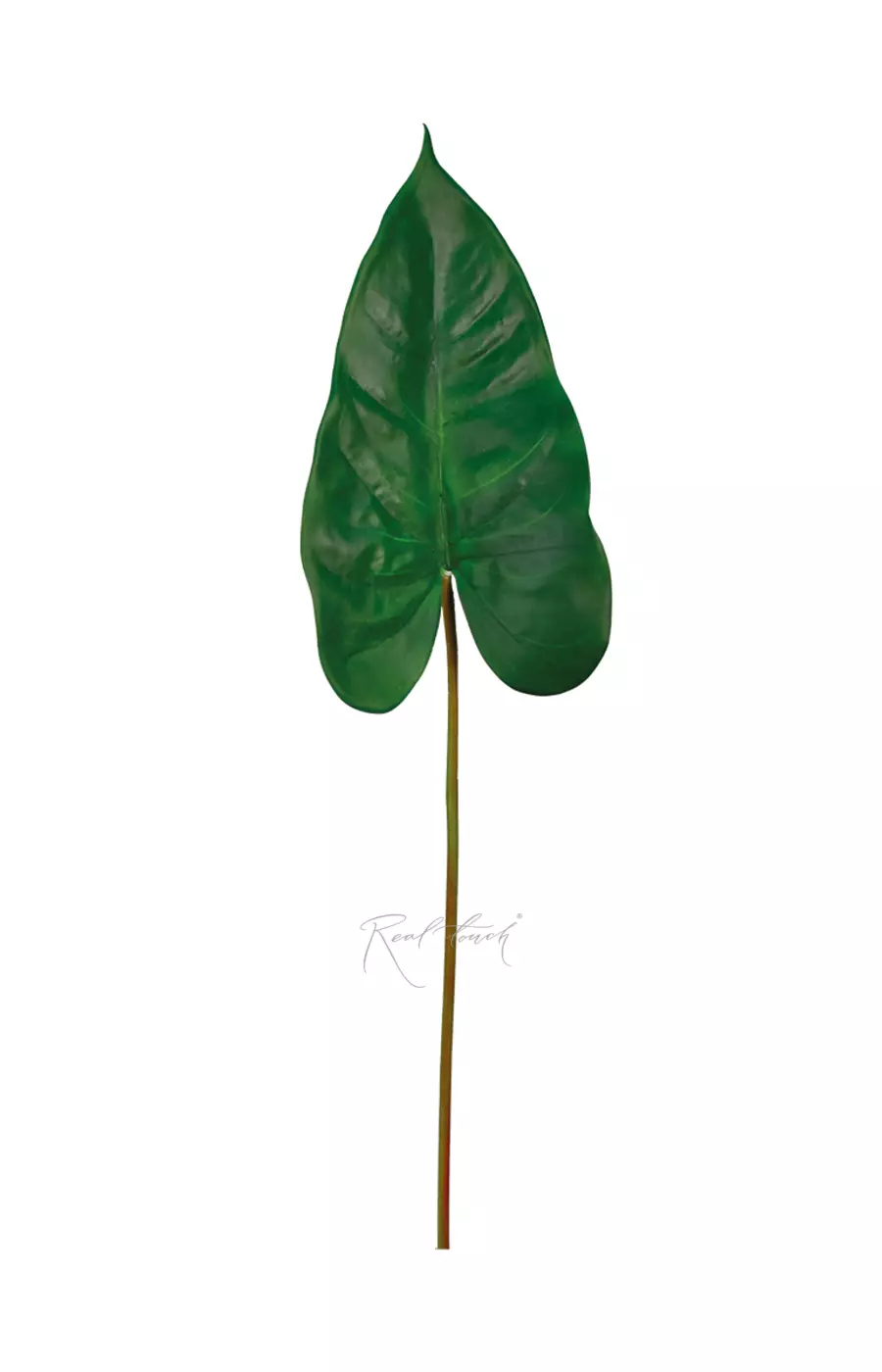 Лист каллы 3D средний - Зеленый