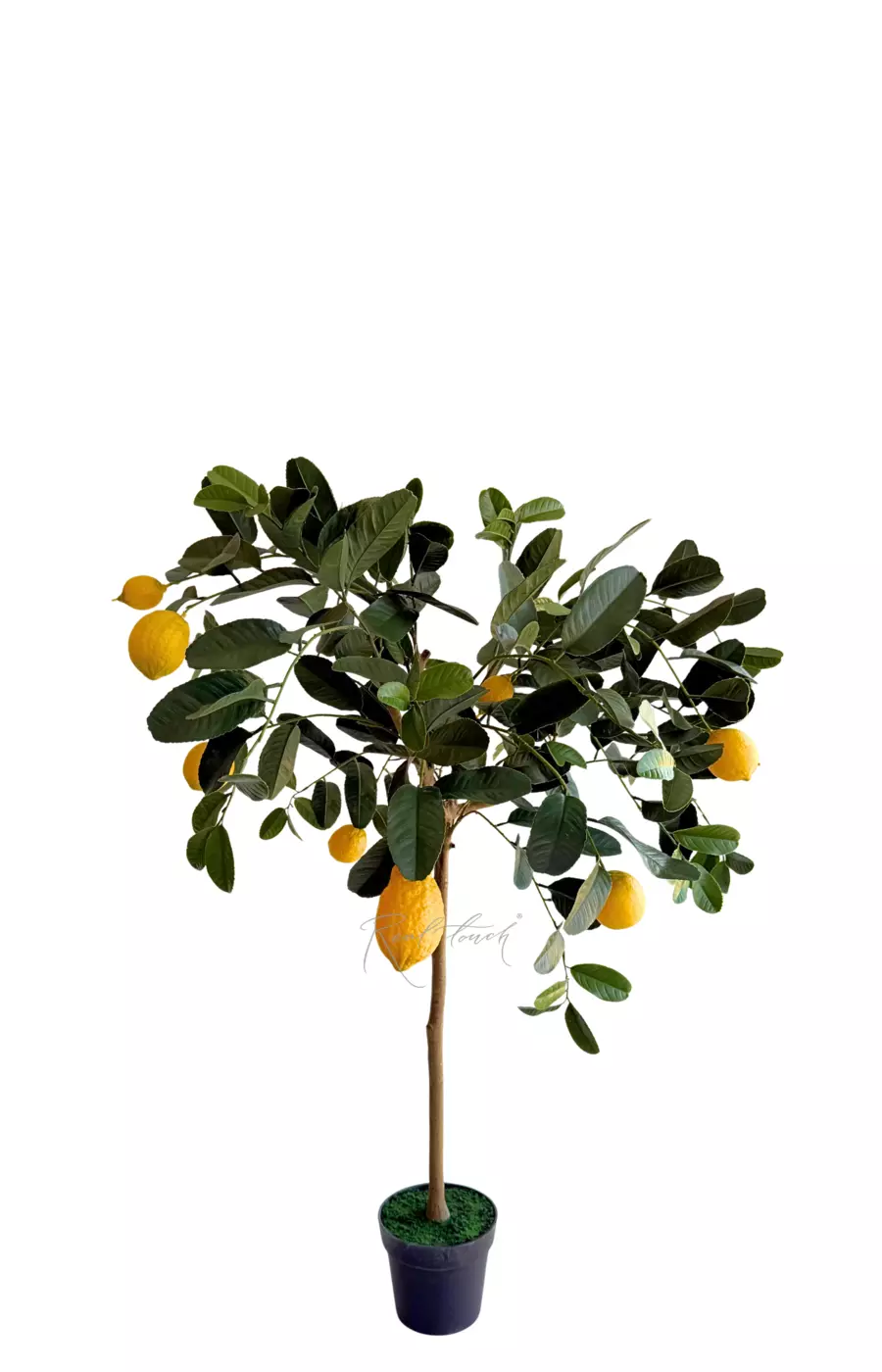 Лимонное дерево 125см с УФ-защитой - Зеленый